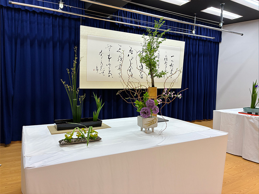 慈烏展